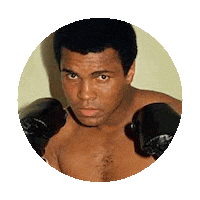 muhammad ali fight STICKER by imoji