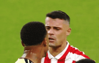 Stadium Of Light Arsenal Win GIF by memes