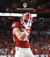16-0 Iu GIF