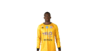 Goalkeeper Chateauroux Sticker by La Berrichonne de Châteauroux