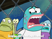 season 6 episode 20 GIF by SpongeBob SquarePants