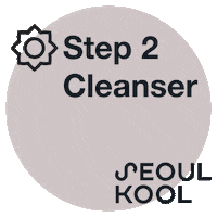 Skin Care Sticker by Seoul Kool