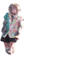 Fun Monkey Sticker