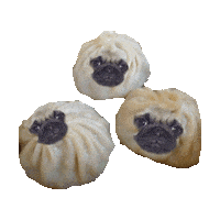 pug STICKER by imoji