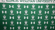 Iwutitans Tgoe GIF by iwusports