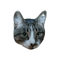 Berlinthecat Sticker by mynameisnastia