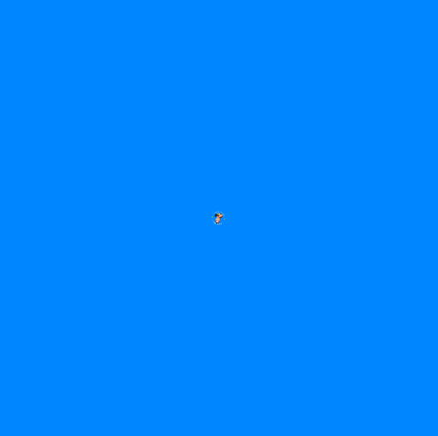Real Estate Realtor GIF by Jason Ruzich All Pittsburgh Real Estate