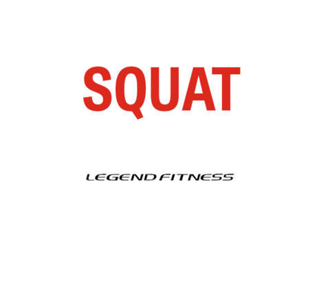 Work Out Goal Sticker by Legend Fitness