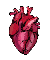 Heart Love Sticker