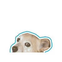 Zonk Wtf Sticker by Psitwór
