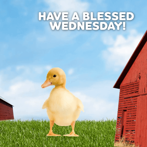 Have A Blessed Wednesday!