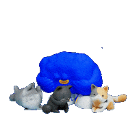 Cat Cafe Sticker by Generation Visa