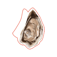 Like A Sea Food Sticker by Dmytro Borysov's Gastrofamily