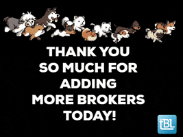 commercial real estate puppies GIF by thebrokerlist