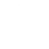 Crypto Cryptocurrency Sticker by DeFiChain