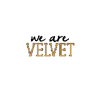wearevelvet19 wav19 Sticker by Velvet
