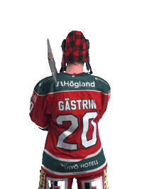 Hockeyallsvenskan Sticker by MoDo Hockey