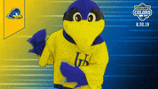 College Sports Mascots GIF by College Colors Day