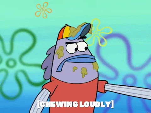 season 5 GIF by SpongeBob SquarePants