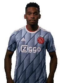 Ajax Amsterdam Sticker by AFC Ajax