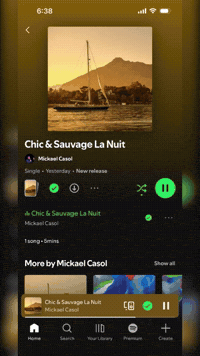 Streaming Arabic Music GIF by Casol