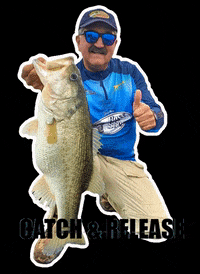 concanaycarrete pesca pescado libera pescar GIF