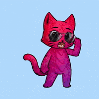 HeroGalaxyNFT cat wow omg surprised GIF