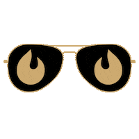 Summer Sunglasses Sticker by IGNITE cycle