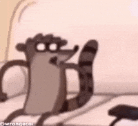 Mordecai And Rigby GIF