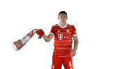 French Football Sticker by FC Bayern Munich