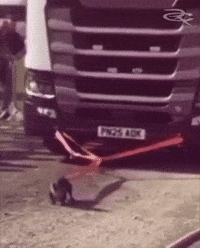 Wiener Dog GIF by Respective