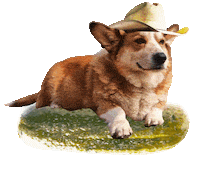 Dog Cowboy Sticker by punchvisual