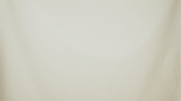 Celebrate College Sports GIF by University of North Dakota