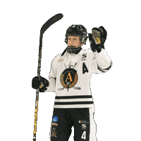 alfahockey хоккей хоккеист альфа хоккейспб Sticker