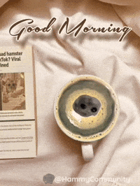 Good Morning Coffee GIF by Sad Hamster