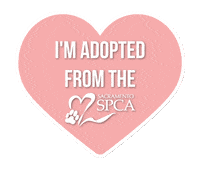 Sspca Sticker by Sacramento SPCA