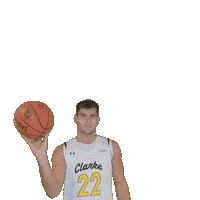 Mens Basketball Sticker by Clarke University