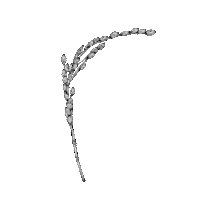 Rice Sticker by Boksoondoga