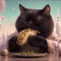 Hungry Black Cat GIF