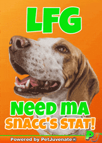 PetJuvenate lfg weiner dog petjuvenate love rescue dogs GIF