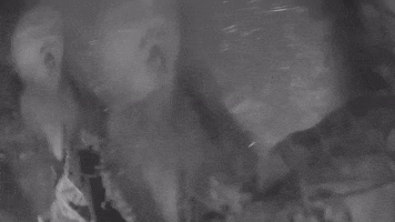 Heavy Metal GIF by Machine Head