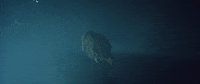 be together wild belle GIF by MAJOR LAZER