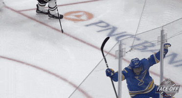 Celebrate Ice Hockey GIF by NHL
