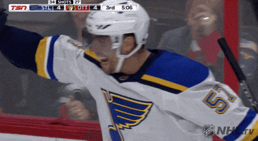Ice Hockey Sport GIF by NHL