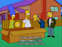 homer simpson episode 20 GIF
