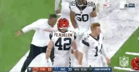 2018 Nfl Football GIF by NFL