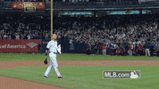 nyy GIF by MLB