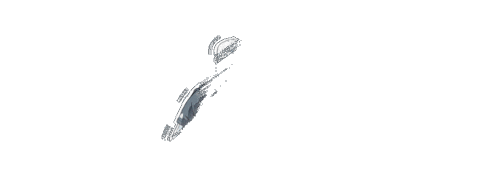 Fedex Cup Pga Sticker by PGATOUR