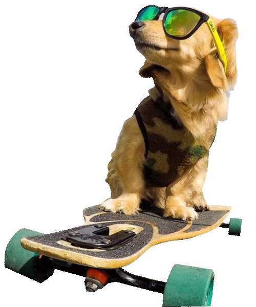 dog skate Sticker by Arata