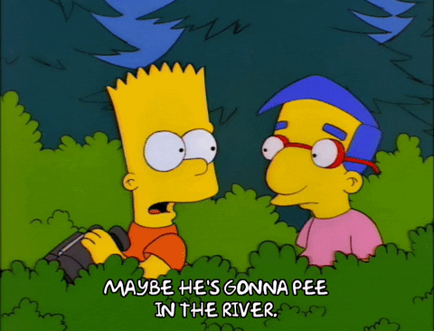 bart simpson GIF